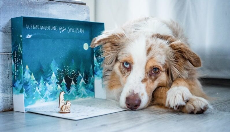 Hund mit Schnauzberts Winterreise Adventskalender